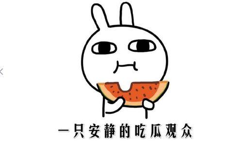 吃瓜新闻是新闻吗,揭秘网络时代的“瓜田”现象